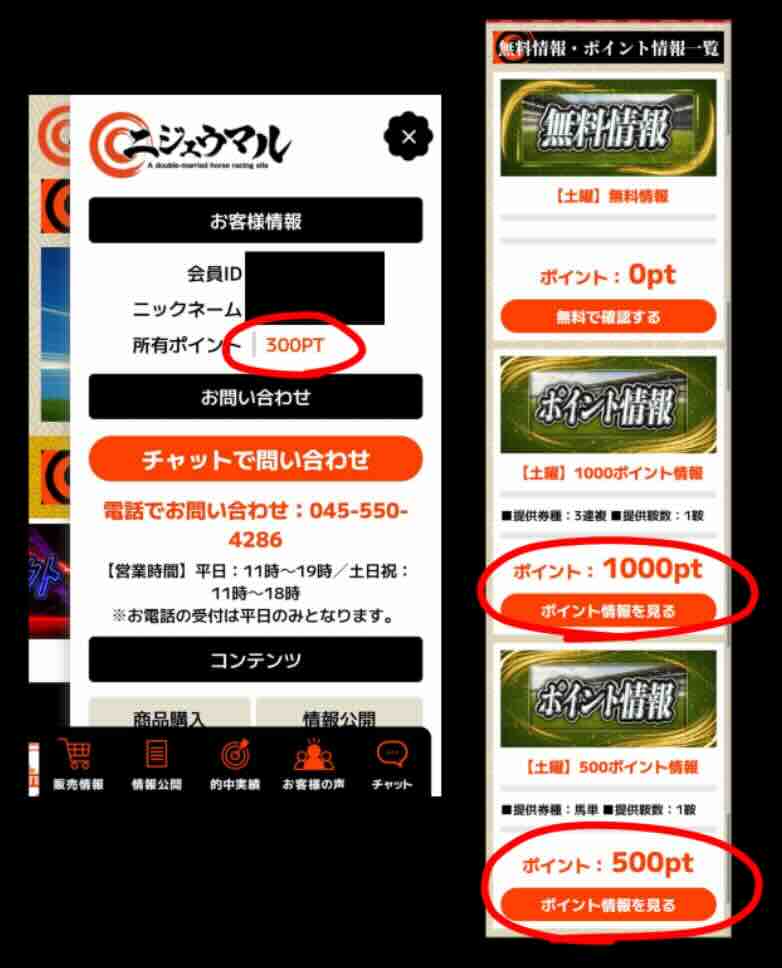 ニジュウマルのポイント還元